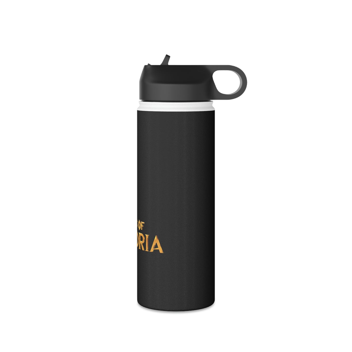 Stainless Steel Water Bottle, Standard Lid