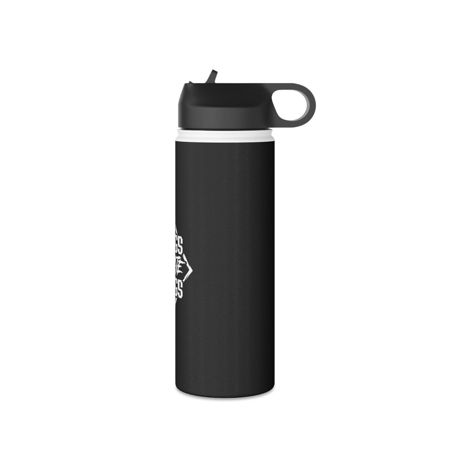 Stainless Steel Water Bottle, Standard Lid