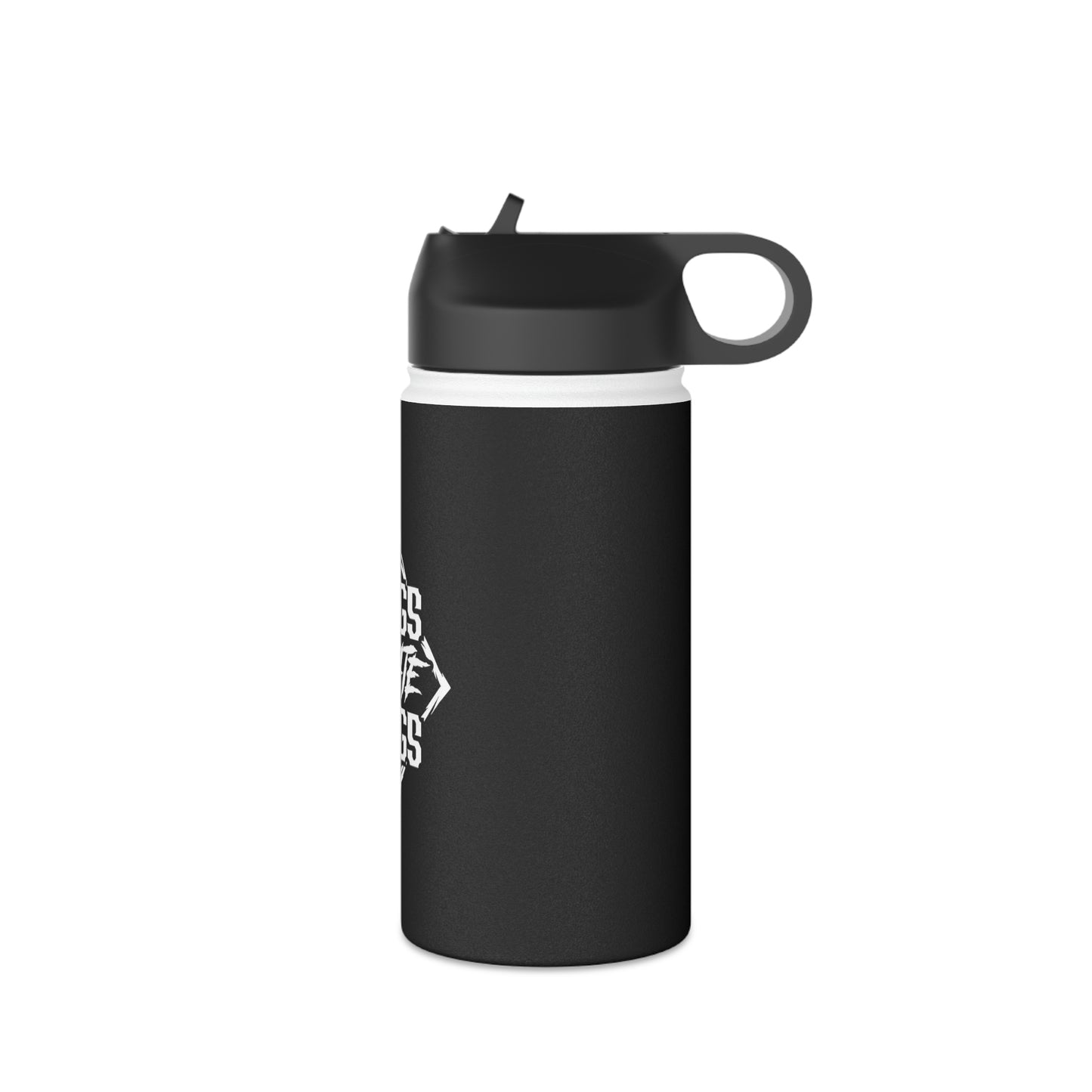 Stainless Steel Water Bottle, Standard Lid